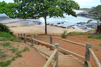 Descrição da foto