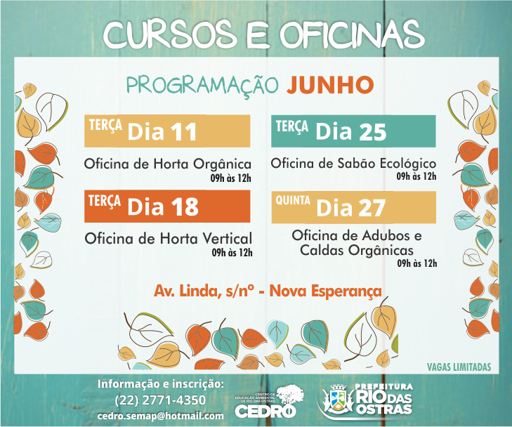 Programação Cedro - Junho